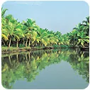 Kerala backwaters